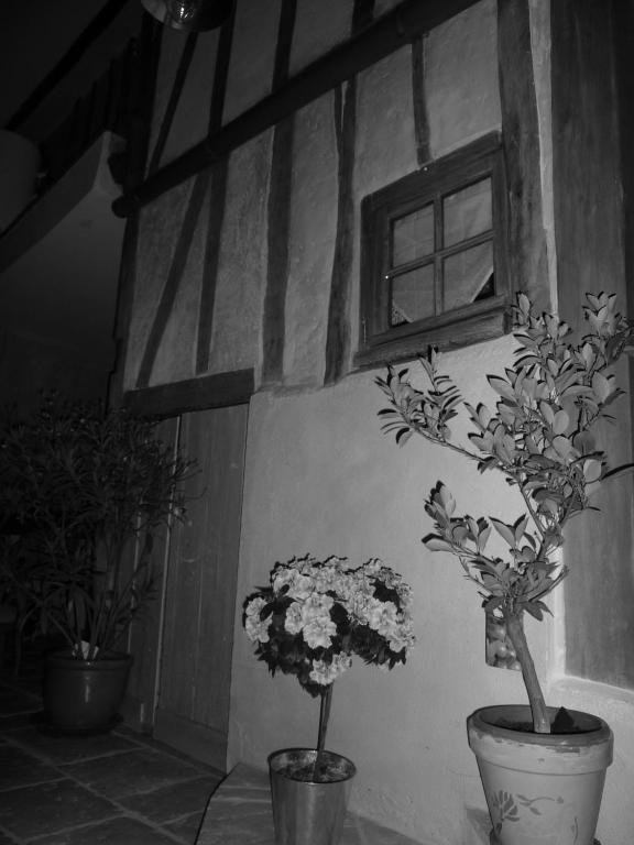 Les 5 Sens Bed and Breakfast Εξωτερικό φωτογραφία
